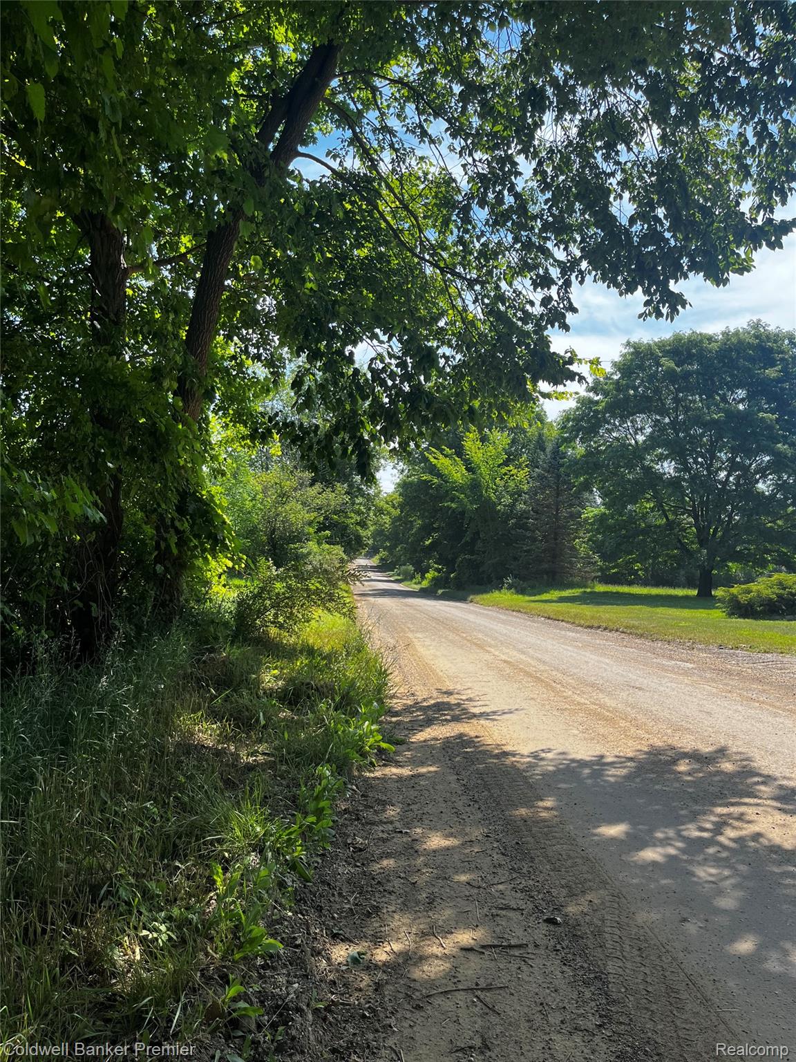 0 East Leonard Road Leonard, MI 48367 - Photo 8 of 11 road looking east.jpeg