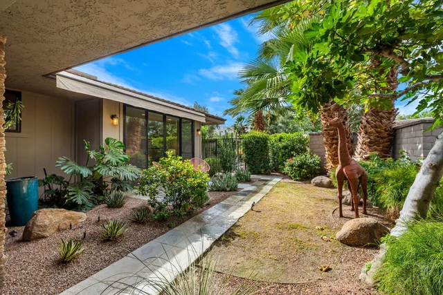 a view of a backyard with potted plants and large tree