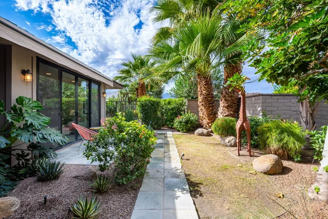 a view of a backyard with potted plants and large trees