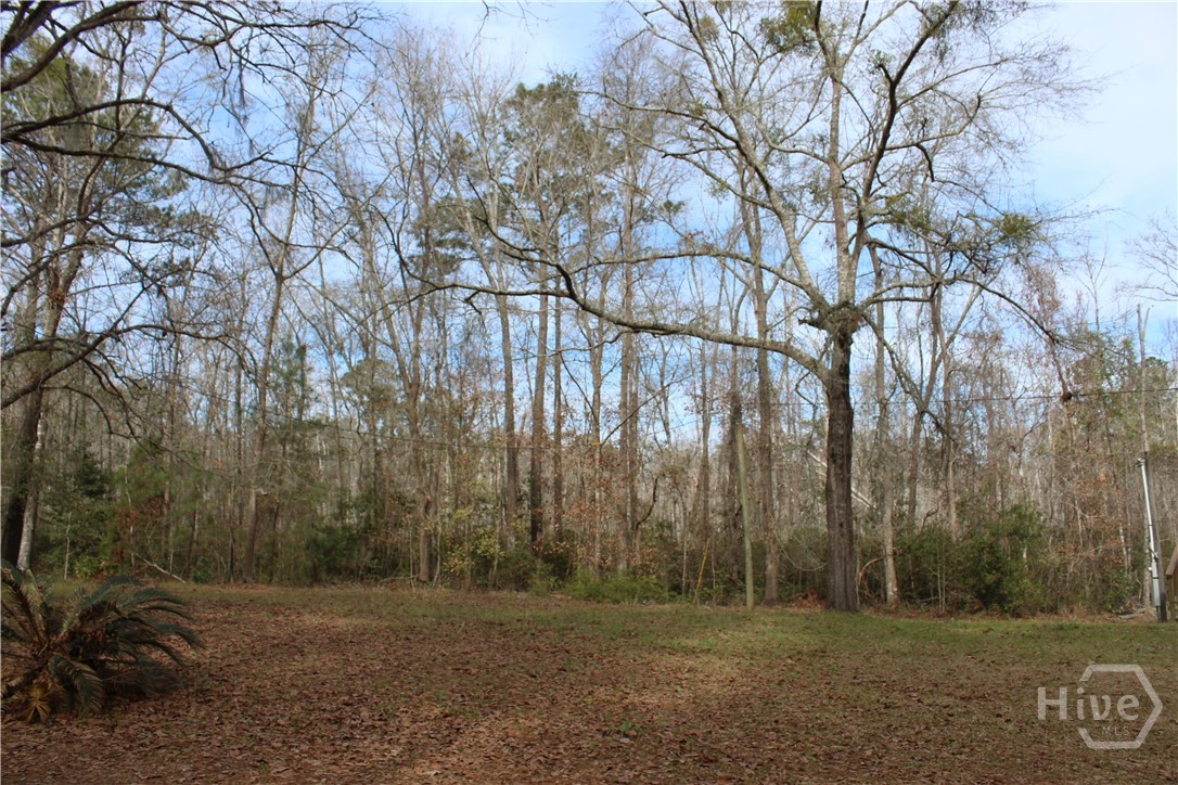 776 Phillips Road Midway, GA 31320 - Photo 7 of 16