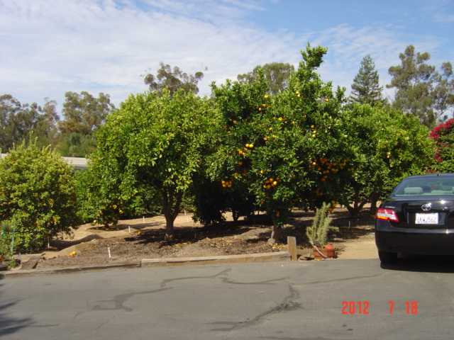2993 Mackey Drive Fallbrook, CA 92028 - Photo 14 of 15 Gallery Image 14