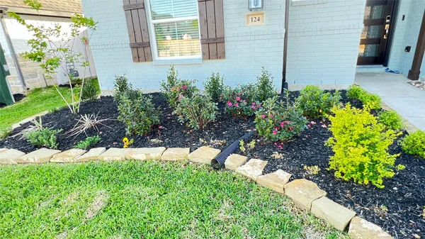 a view of a backyard with potted plants