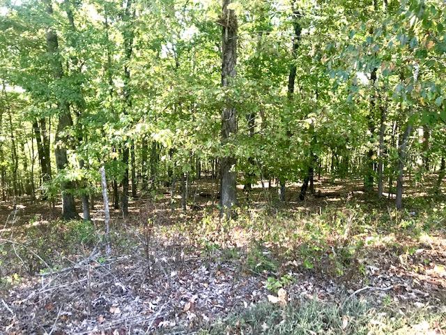 211-212 Reuben Ridge Road Rockwood, TN 37854 - Photo 8 of 32 IMG_3573