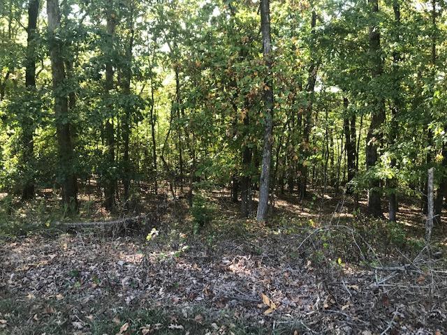 211-212 Reuben Ridge Road Rockwood, TN 37854 - Photo 9 of 32 IMG_3575