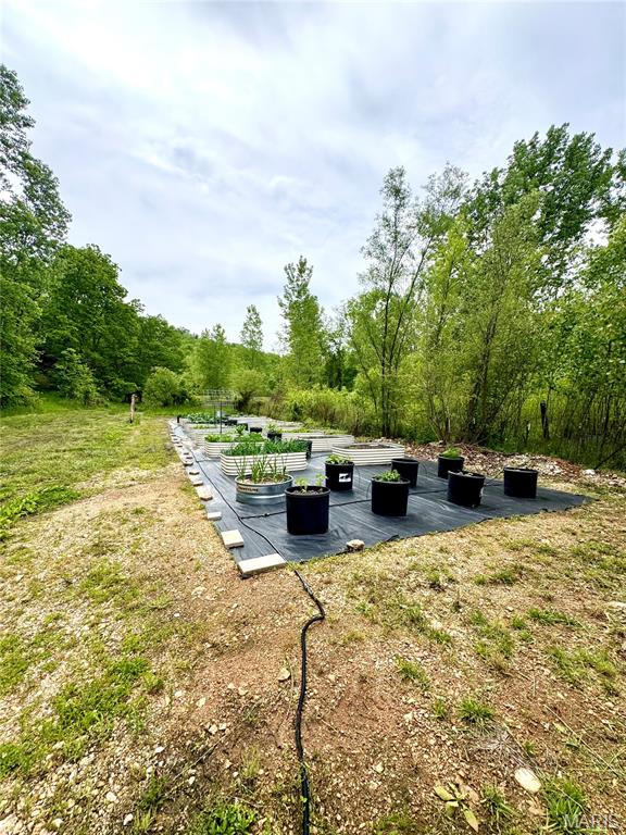 1102 County Road 700 Ellington, MO 63638 - Photo 19 of 24