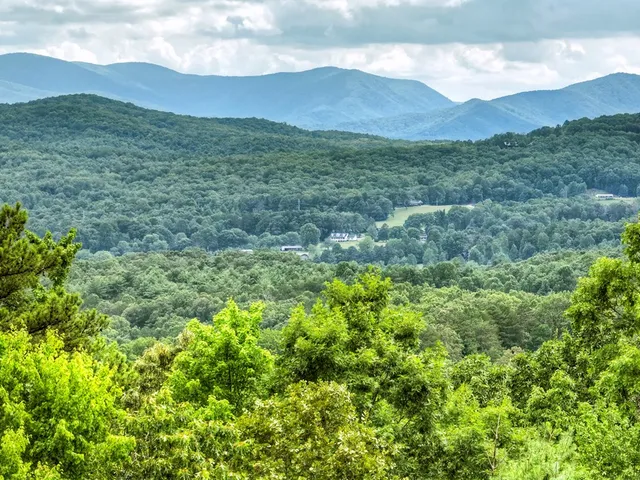 a view of a lush green hillside and a houses