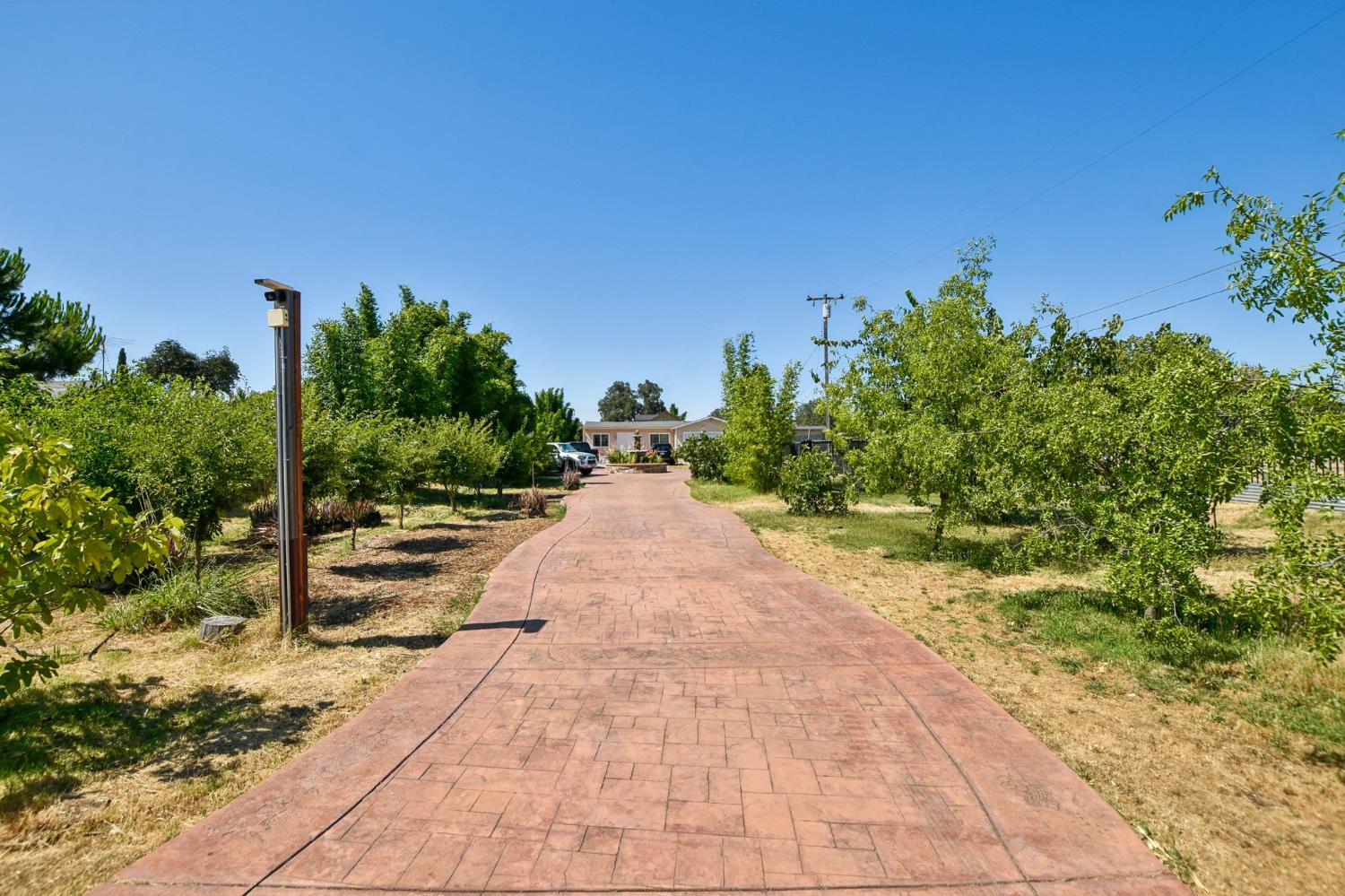 a view of a back yard