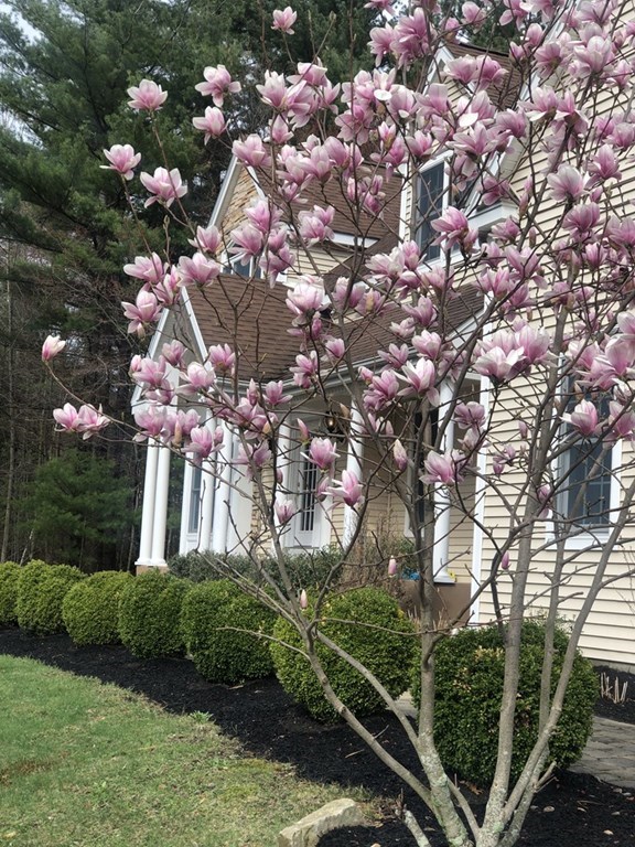 10 Fay Mountain Road Grafton, MA 01519 - Photo 35 of 42 Gallery Image 35