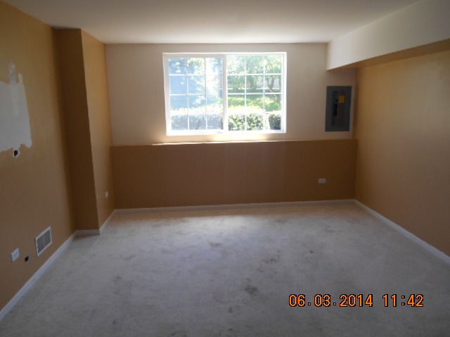 132 Enclave Circle, Unit D Bolingbrook, IL 60440 - Photo 9 of 9 an empty room with a window