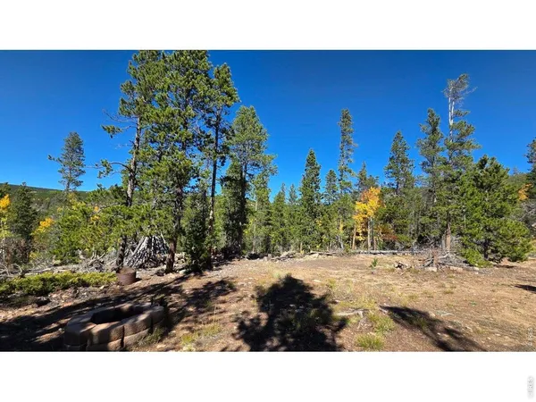 a black and white photo of a house