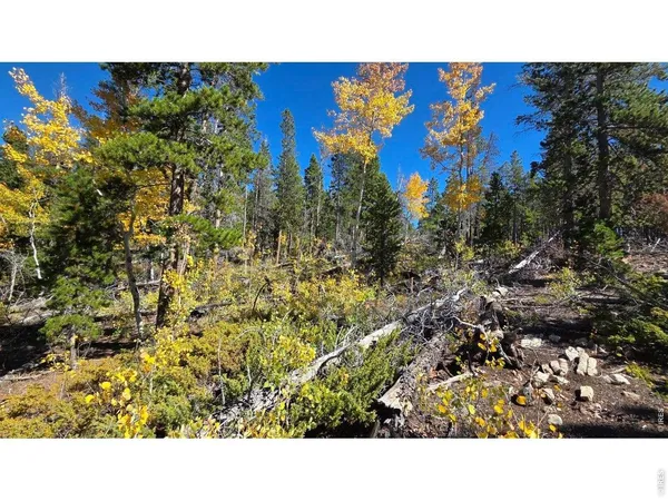 $115,000 | 1367 Osage Trail, Red Feather Lakes, CO 80545