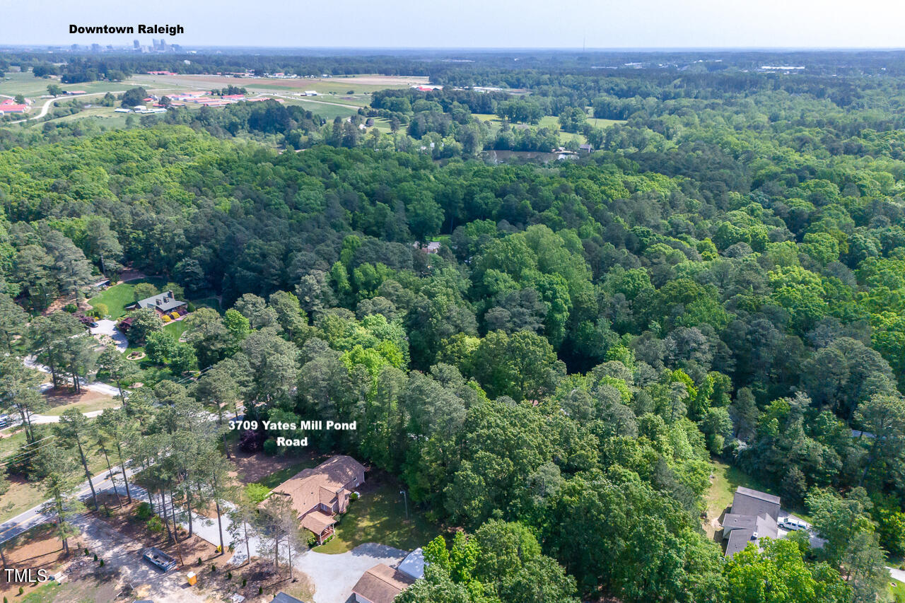 3709-yates-mill-mls-10
