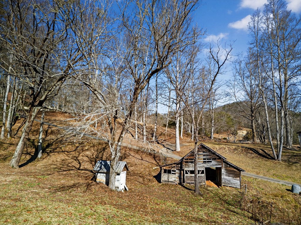 3437 Hanging Dog Road Murphy, NC 28906 - Photo 15 of 87