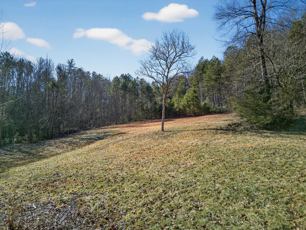 3437 Hanging Dog Road Murphy, NC 28906 - Photo 22 of 87