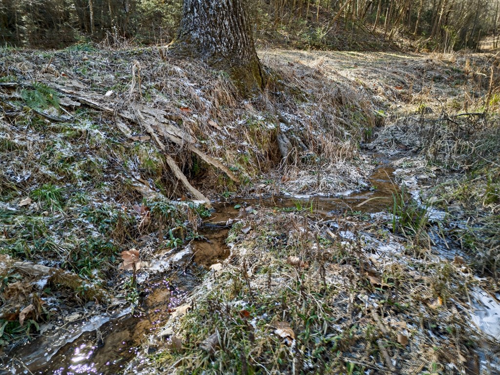 3437 Hanging Dog Road Murphy, NC 28906 - Photo 25 of 87