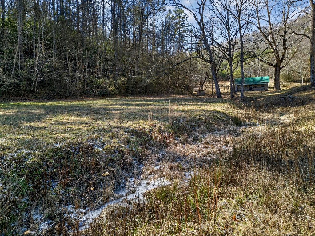 3437 Hanging Dog Road Murphy, NC 28906 - Photo 26 of 87