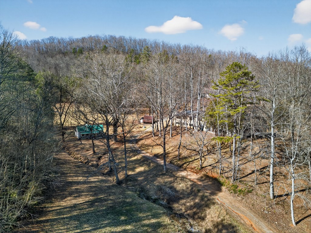 3437 Hanging Dog Road Murphy, NC 28906 - Photo 27 of 87