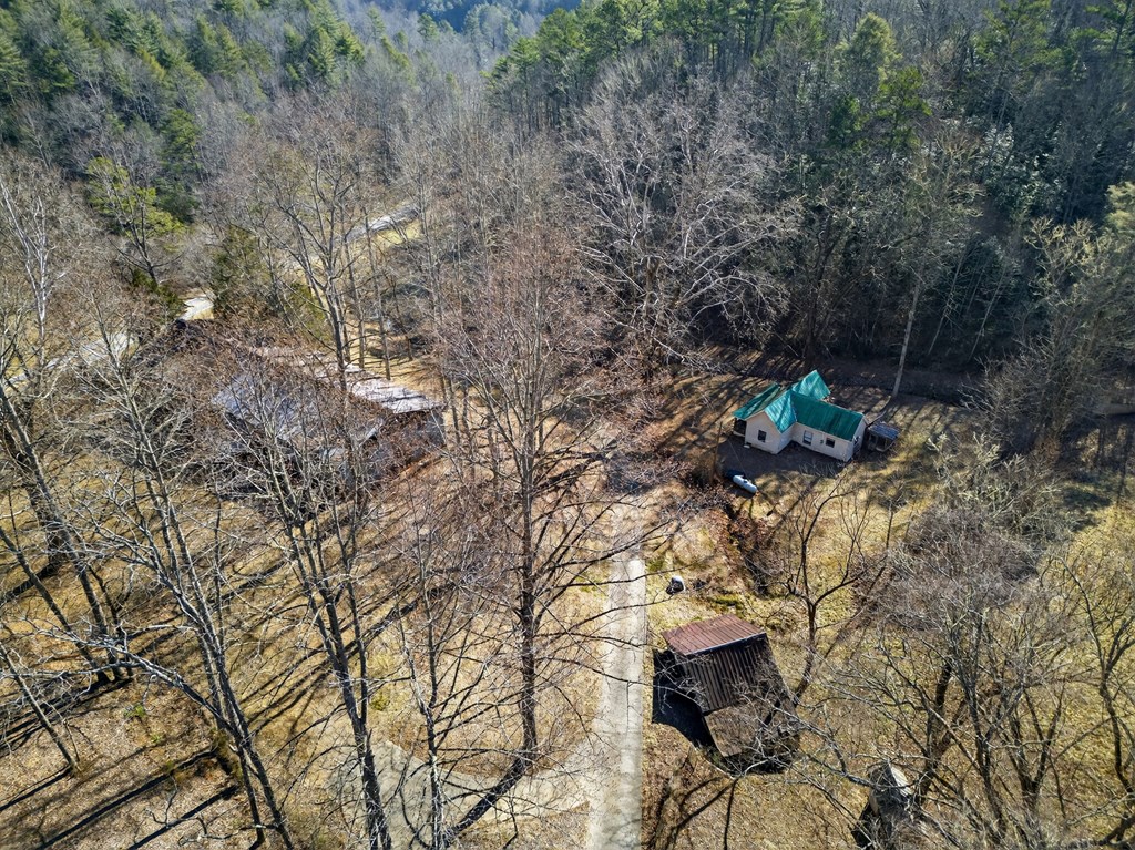 3437 Hanging Dog Road Murphy, NC 28906 - Photo 28 of 87