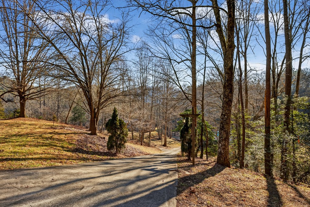 3437 Hanging Dog Road Murphy, NC 28906 - Photo 33 of 87