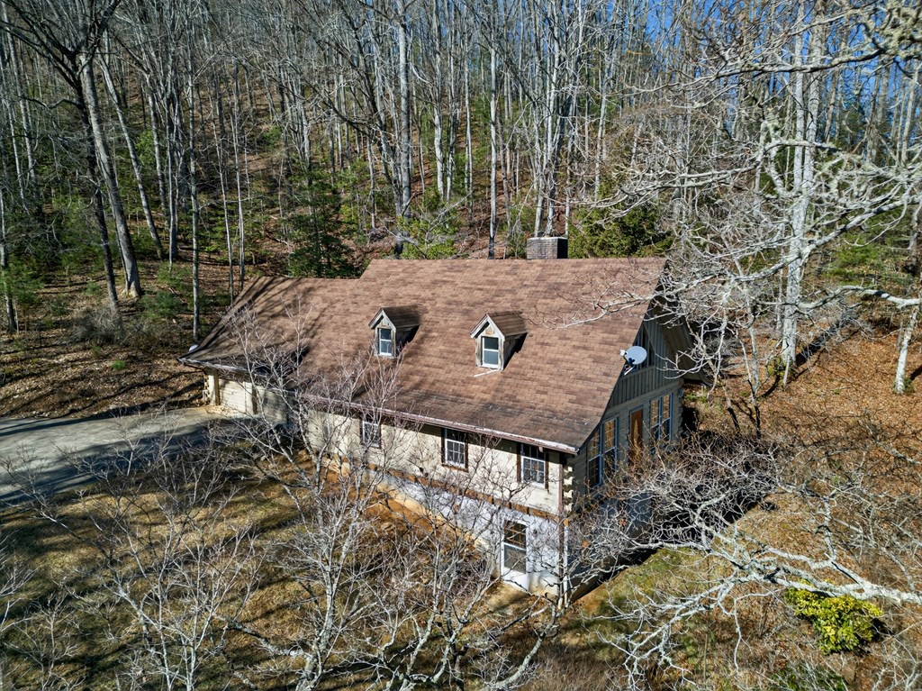 3437 Hanging Dog Road Murphy, NC 28906 - Photo 4 of 87