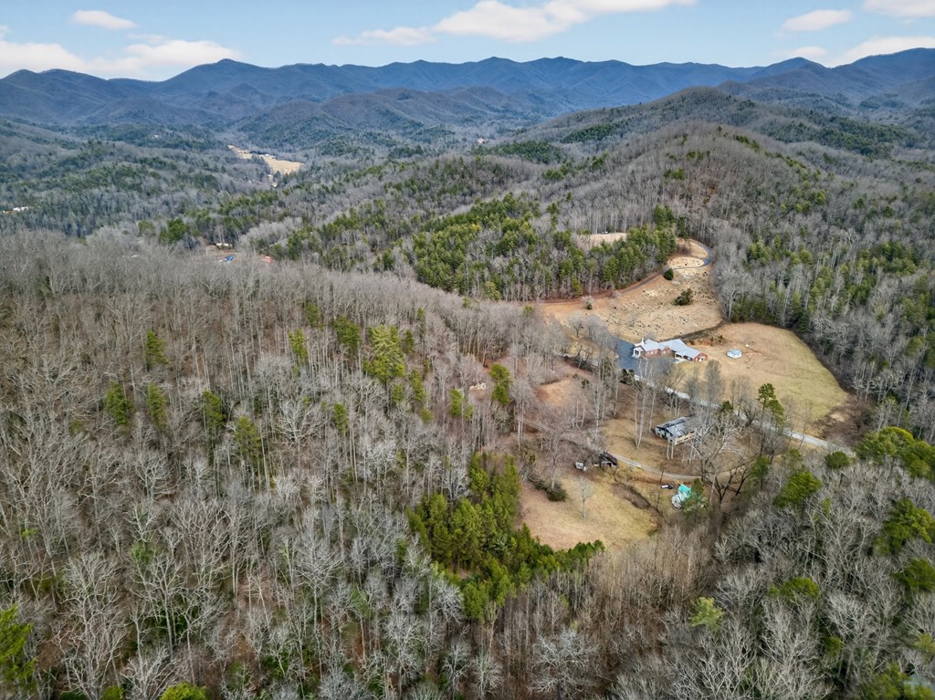 3437 Hanging Dog Road Murphy, NC 28906 - Photo 66 of 87