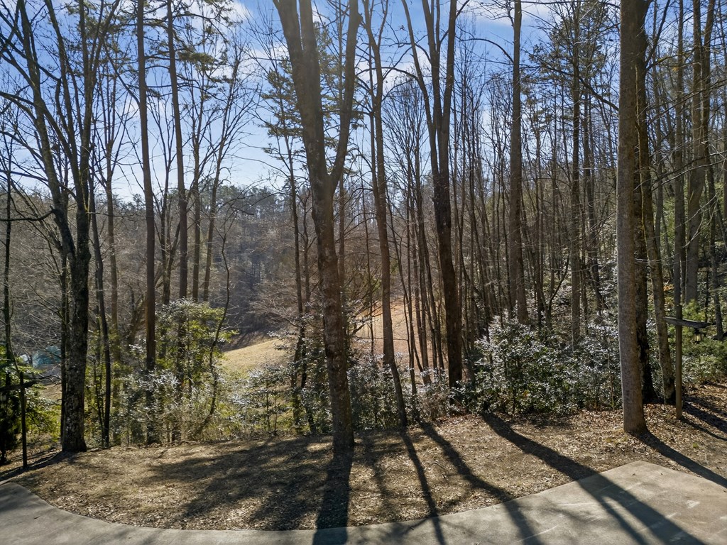 3437 Hanging Dog Road Murphy, NC 28906 - Photo 10 of 87