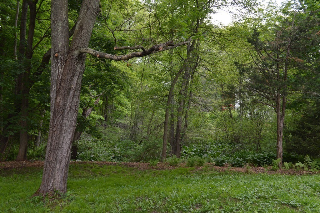 35 Spring Street Millis, MA 02054 - Photo 27 of 30 Gallery Image 27