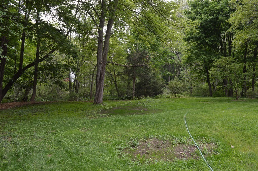 35 Spring Street Millis, MA 02054 - Photo 28 of 30 Gallery Image 28