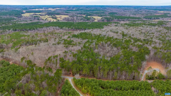a view of a yard with plants and a bench