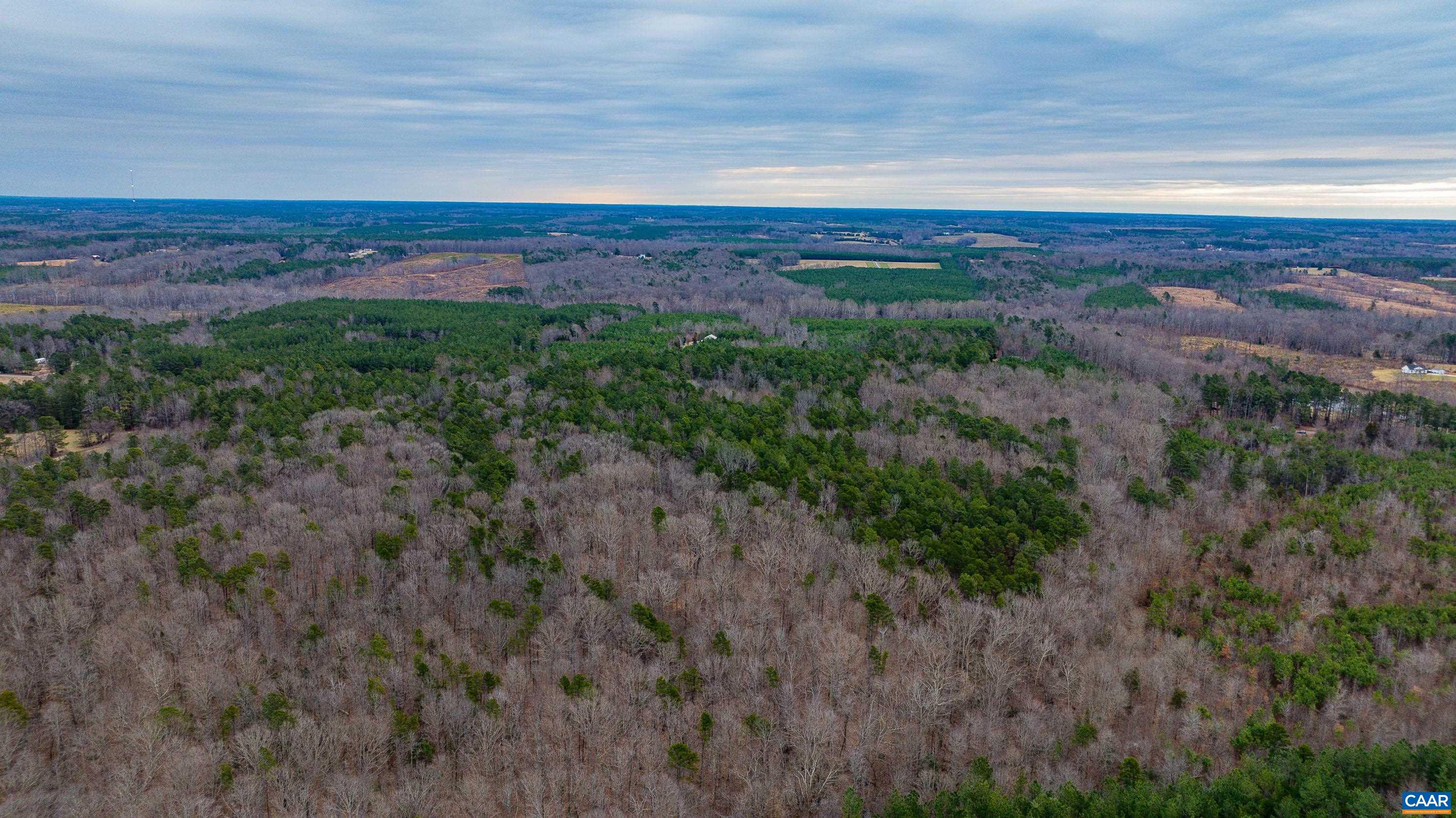 Lot 3 Piney Green Road Crewe, VA 23930 - Photo 21 of 32 a view of yard with ocean view
