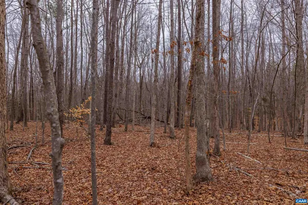 a view of outdoor space with lots of trees