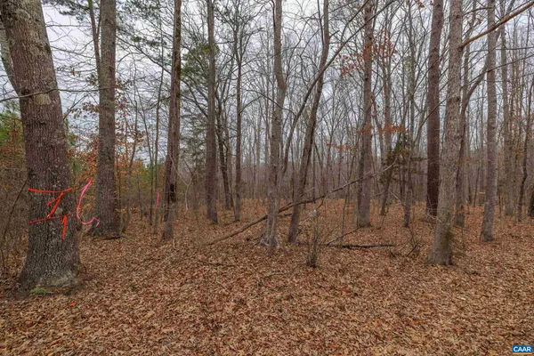 a backyard of a house with lots of tall trees