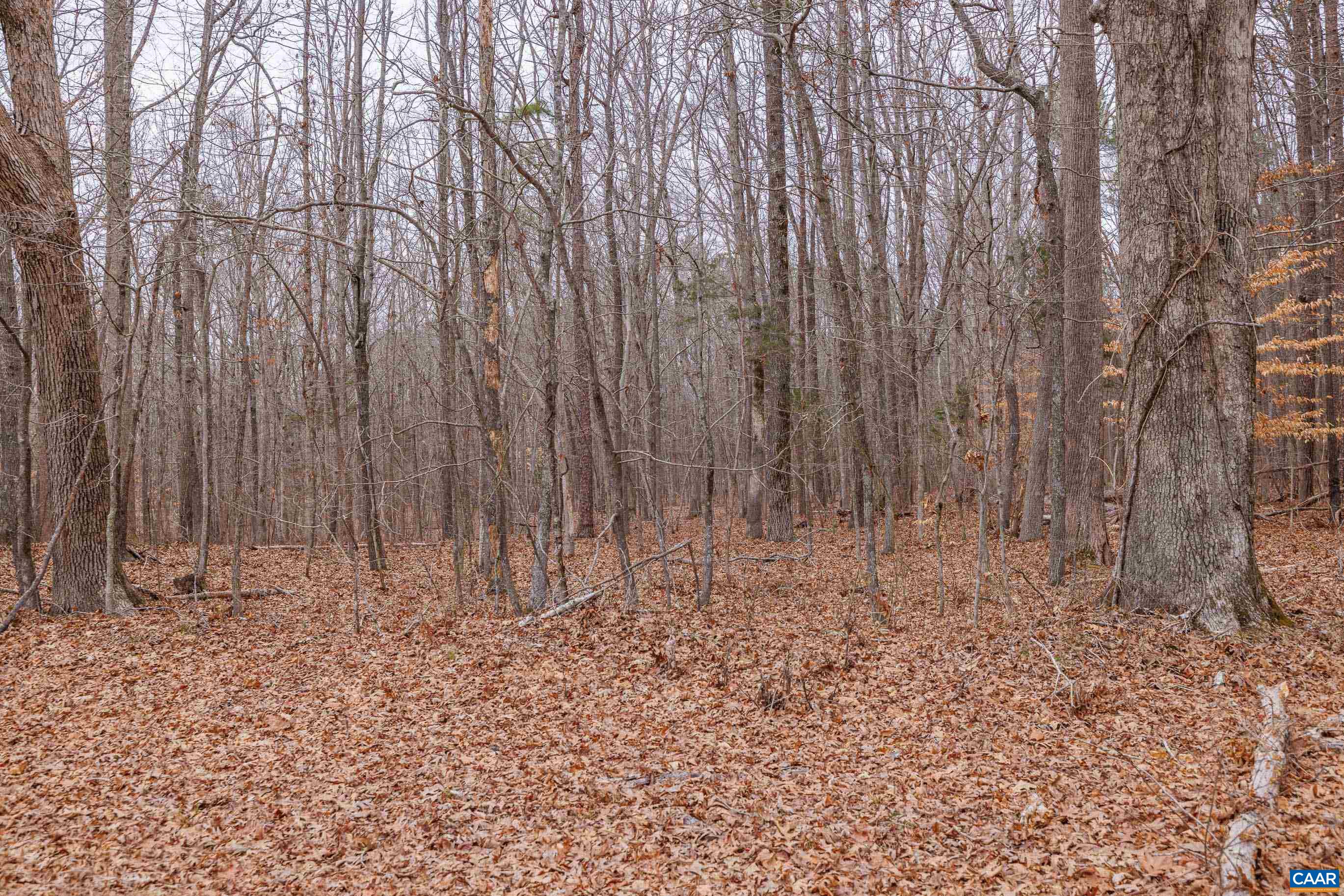 Lot 3 Piney Green Road Crewe, VA 23930 - Photo 28 of 32 a view of wooden fence