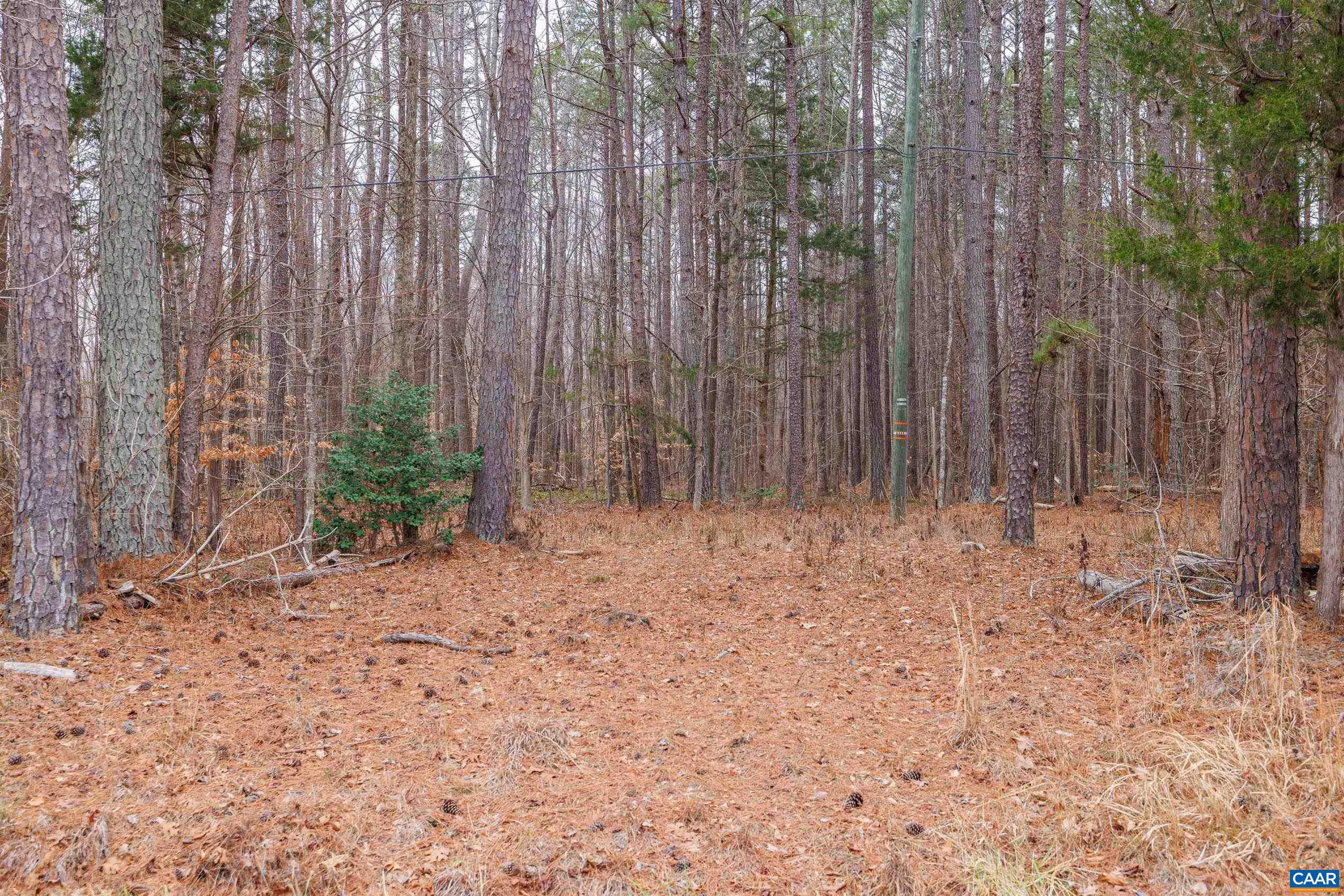 Lot 3 Piney Green Road Crewe, VA 23930 - Photo 30 of 32