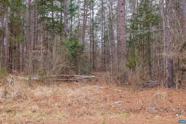 $79,900 | Lot 3 Piney Green Road, Crewe, VA 23930