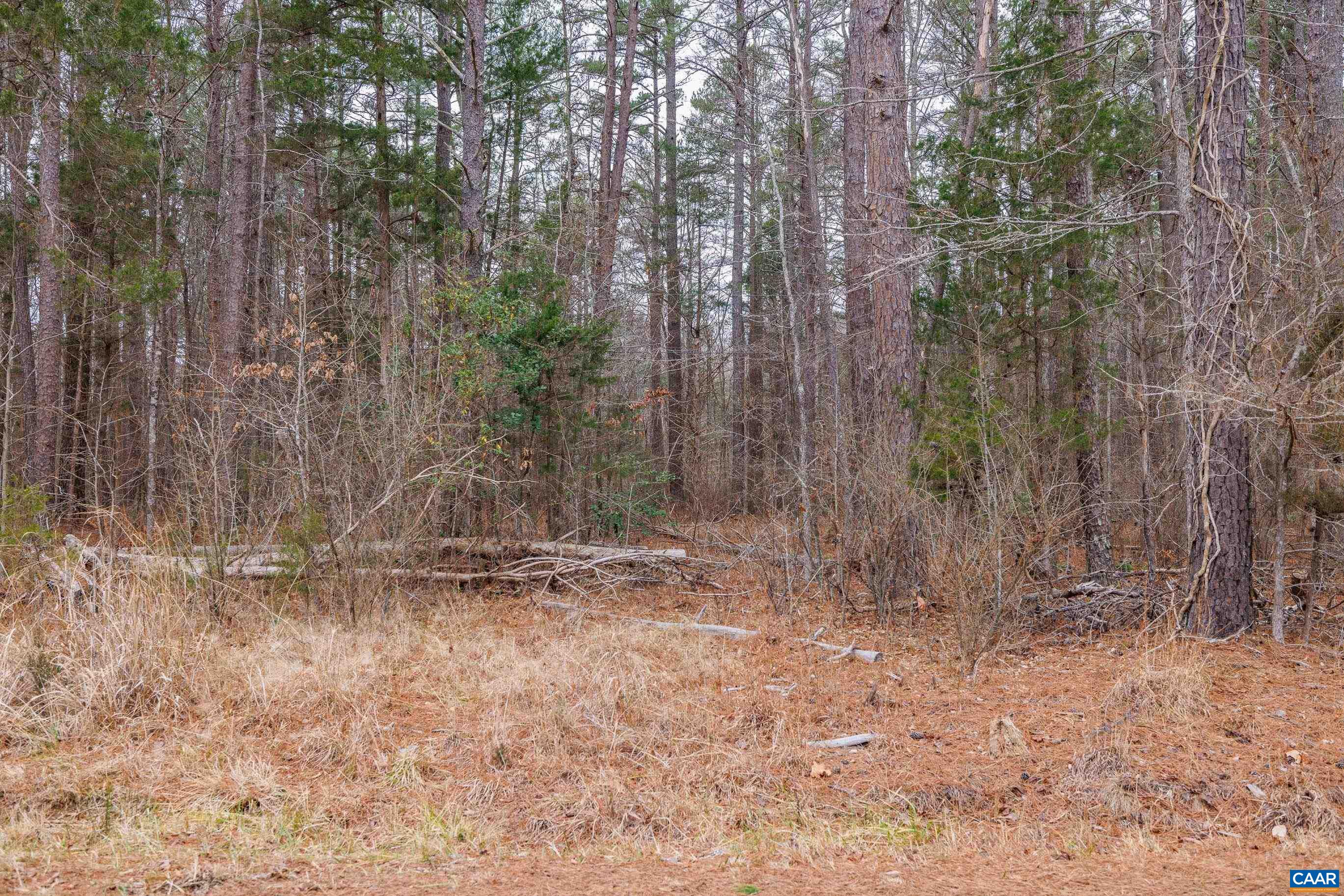 Lot 3 Piney Green Road Crewe, VA 23930 - Photo 31 of 32 a backyard of a house with lots of green space