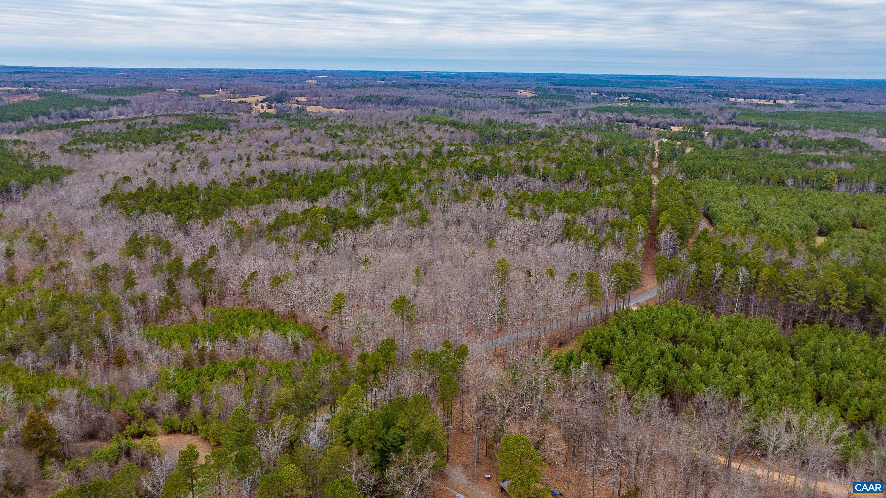 Lot 3 Piney Green Road Crewe, VA 23930 - Photo 6 of 32 a view of city and green space
