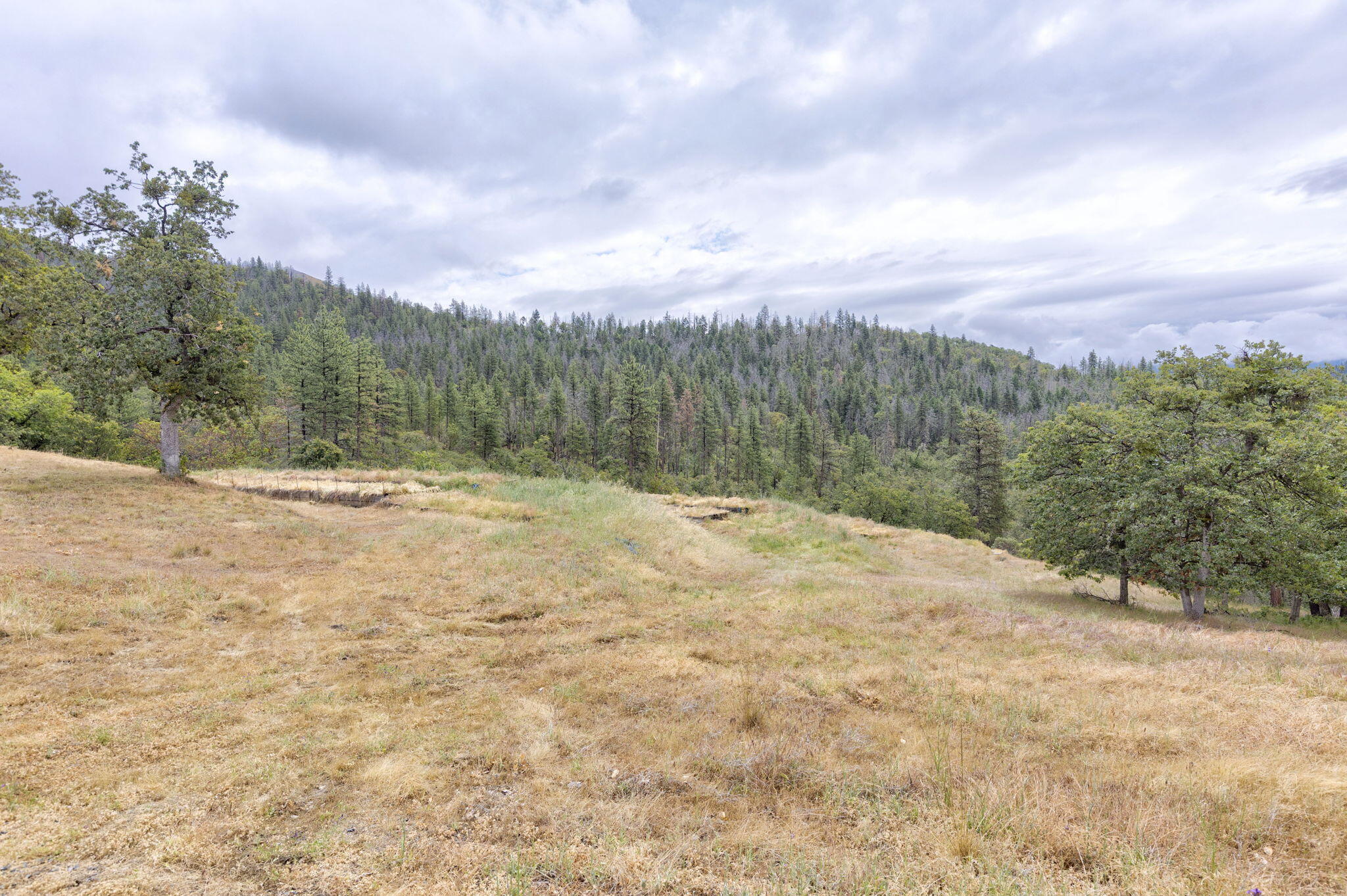 9595 Sterling Creek Road Jacksonville, OR 97530 - Photo 66 of 76 a view of outdoor space with mountain view