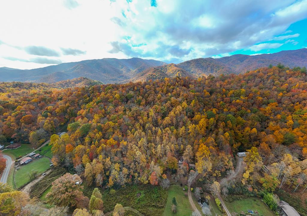 1202 Anthony Branch Road Robbinsville, NC 28771 - Photo 45 of 46 Gallery Image 45