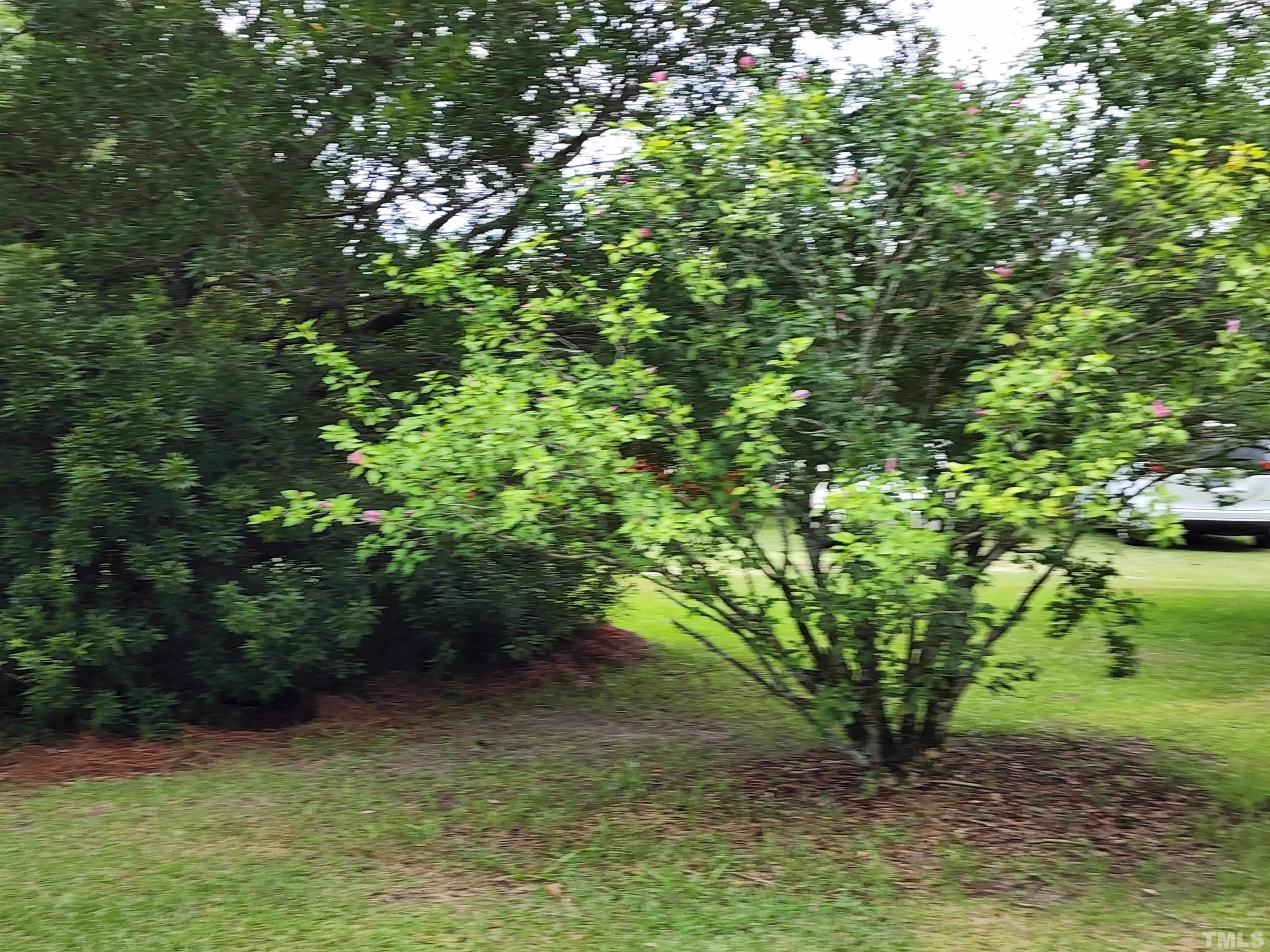 342 South Pleasant Coates Road Benson, NC 27504 - Photo 11 of 60 Gallery Image 11