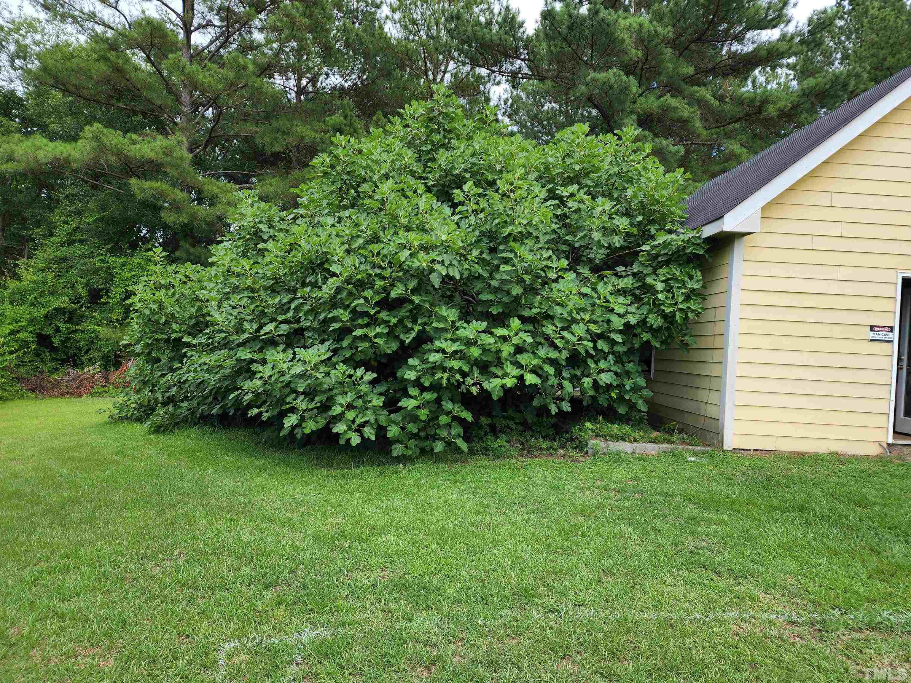 342 South Pleasant Coates Road Benson, NC 27504 - Photo 57 of 60 Gallery Image 57