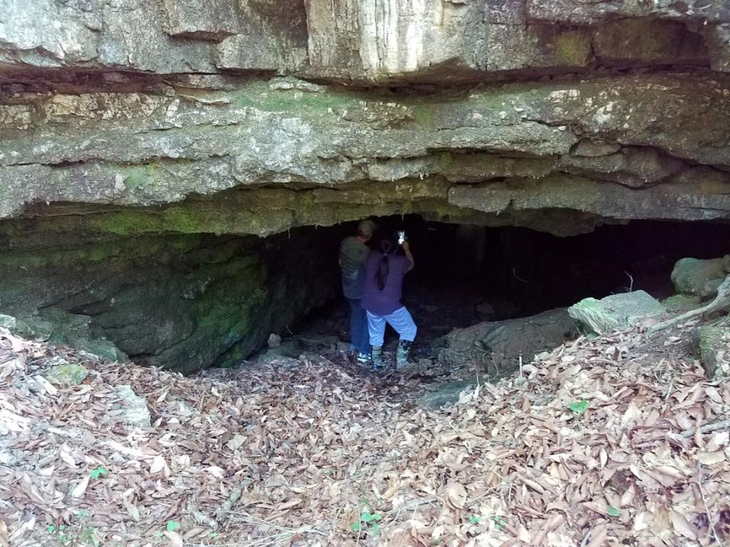 Tbd Johnson Road Tazewell, TN 37879 - Photo 22 of 27 WALK RIGHT INTO THE CAVE