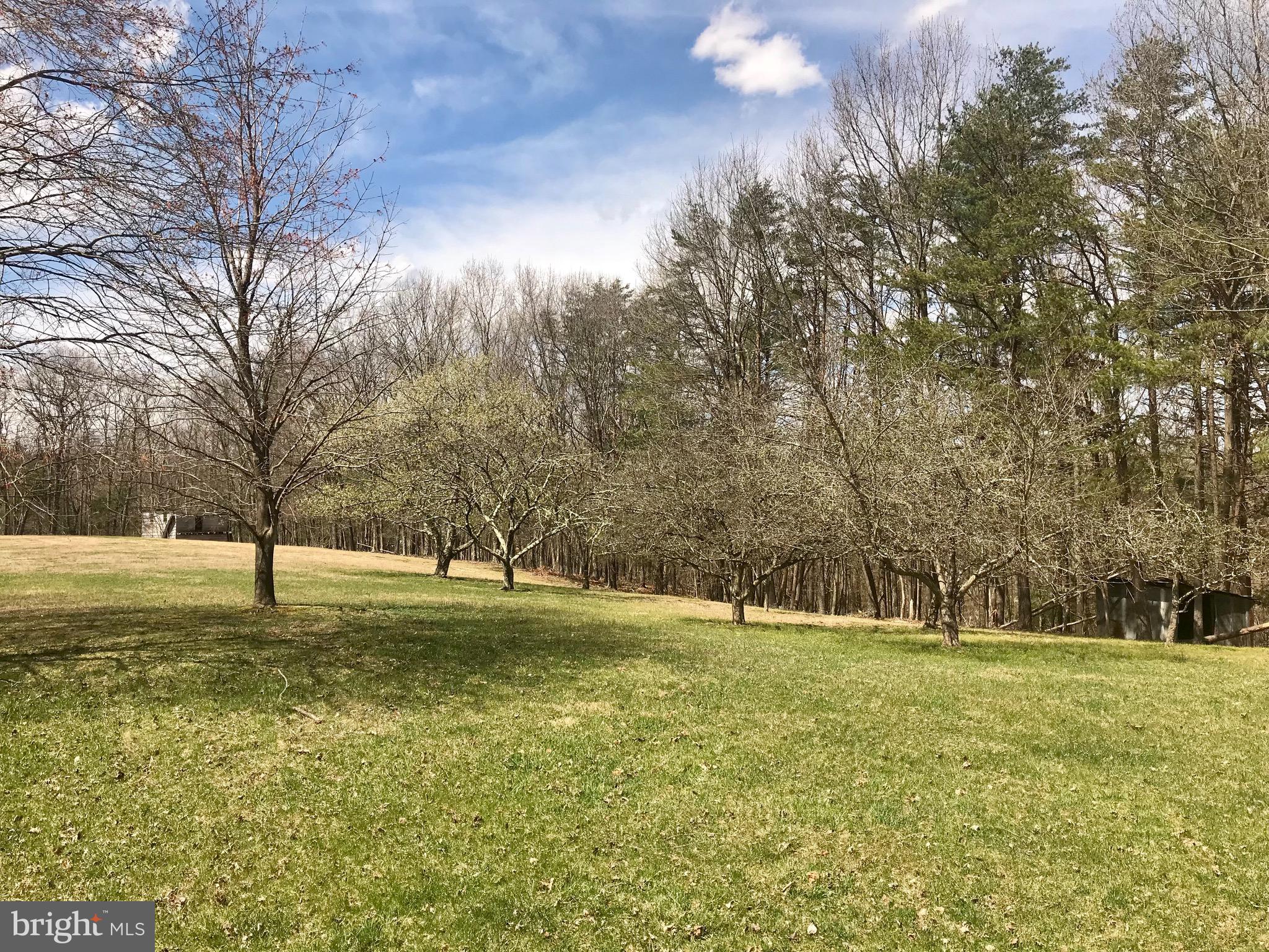 891 Murphy Road Berkeley Springs, WV 25411 - Photo 26 of 32 Gallery Image 26