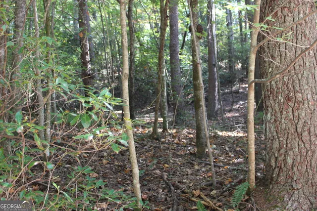 a view of outdoor space and a fountain
