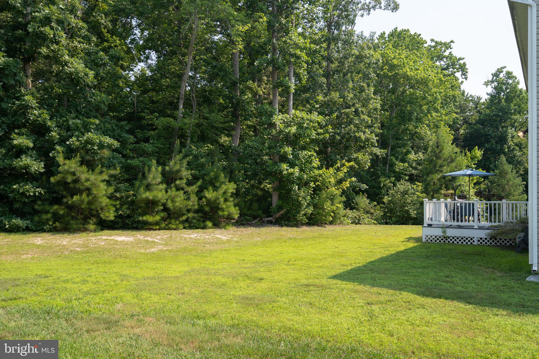 24880 Rivers Edge Road Millsboro, DE 19966 - Photo 34 of 51 Open space for your dream yard!