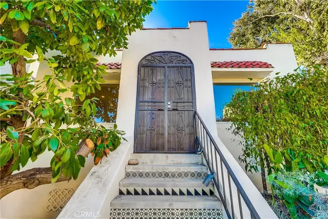 a view of a yard with plants