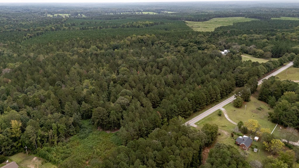 0 Stevenson Road Abbeville, SC 29620 - Photo 5 of 13 Gallery Image 5