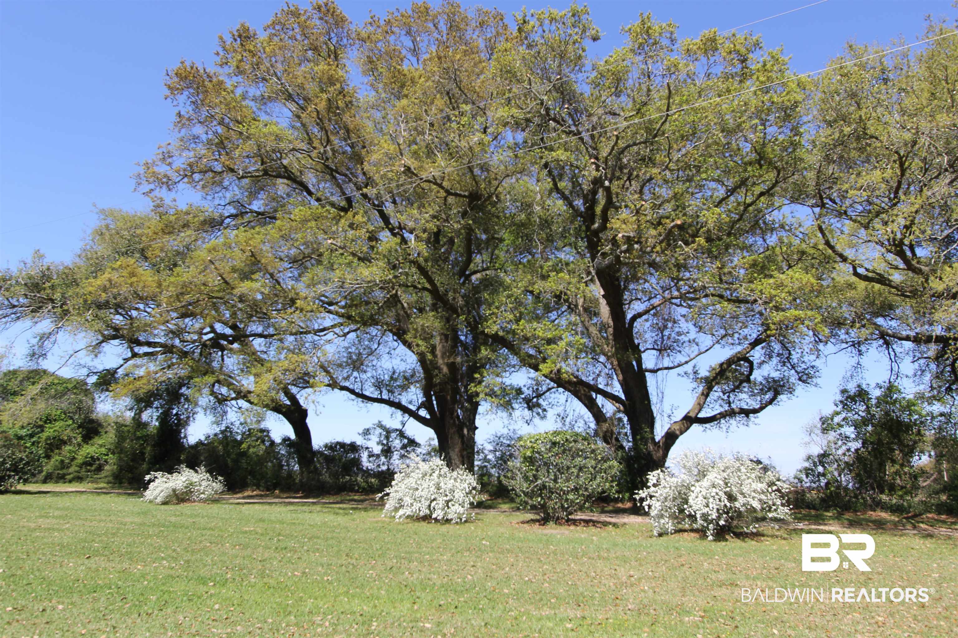 8247 Benton Road Foley, AL 36535 - Photo 7 of 39
