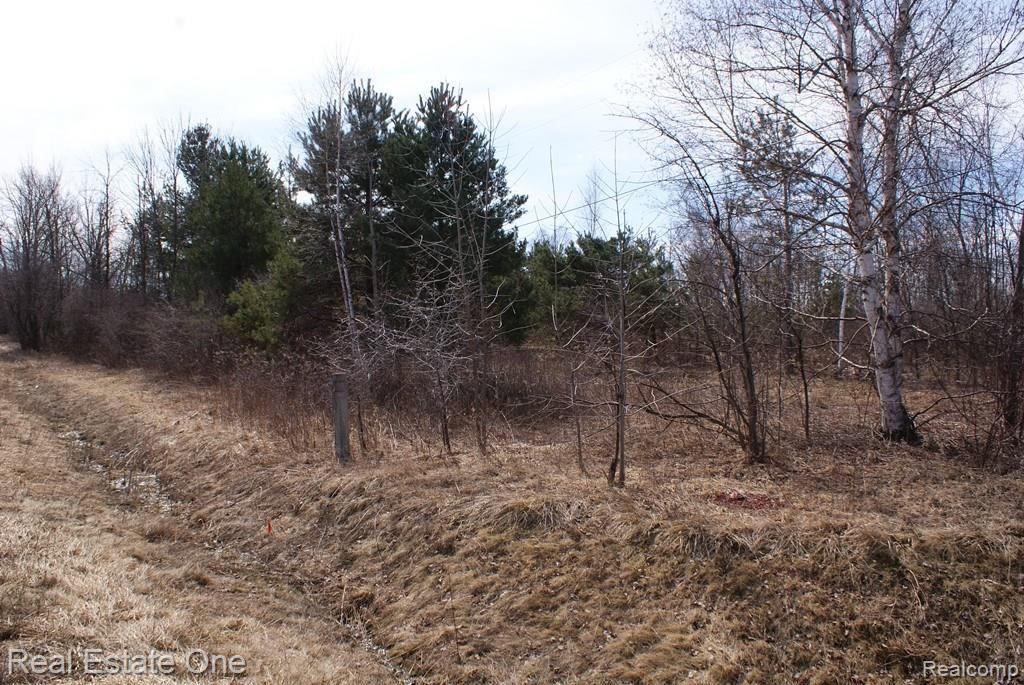 1 Fish Lake Road Lapeer, MI 48446 - Photo 7 of 8