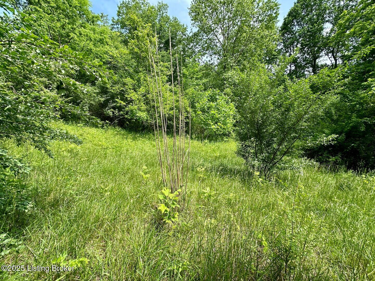 1371 Sunbeam Road Leitchfield, KY 42754 - Photo 16 of 16 0 Sunbeam Rd11